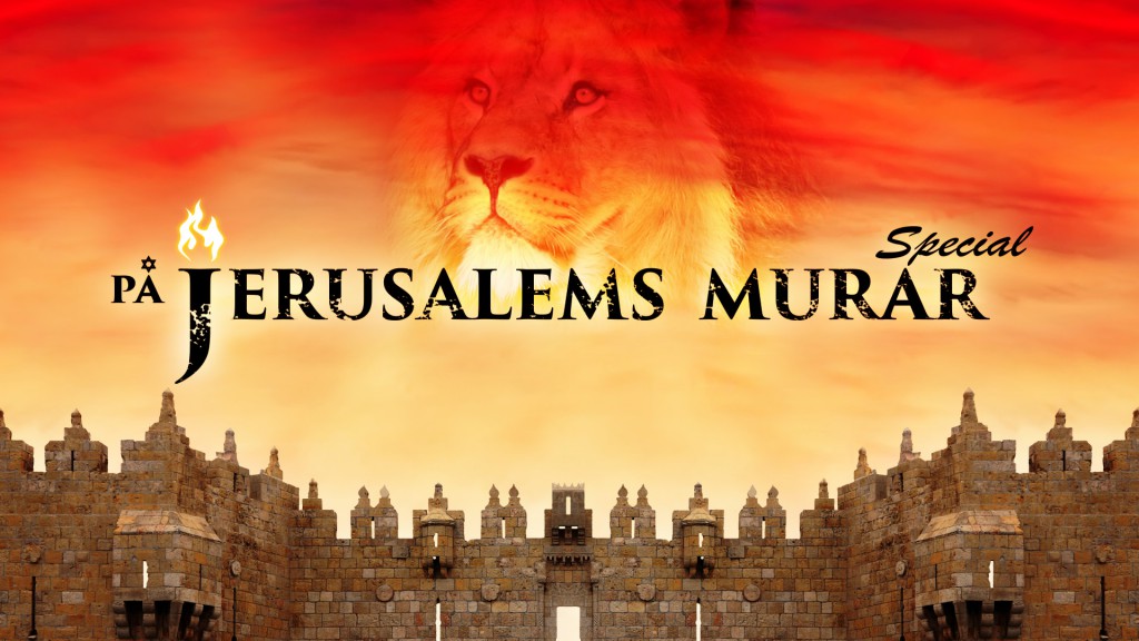 lars_enarson_pa_jerusalems_murar_special_72pp